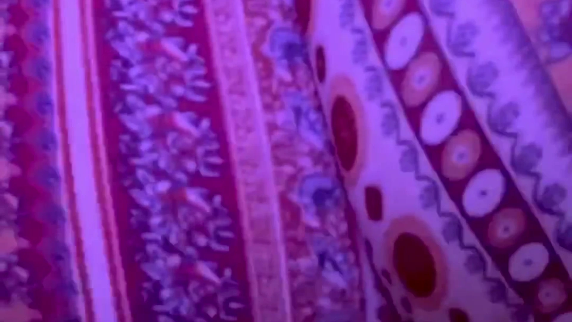 onlyfans thicc babe Cutefruit18 twerking her big booty in her tight pants video leaked