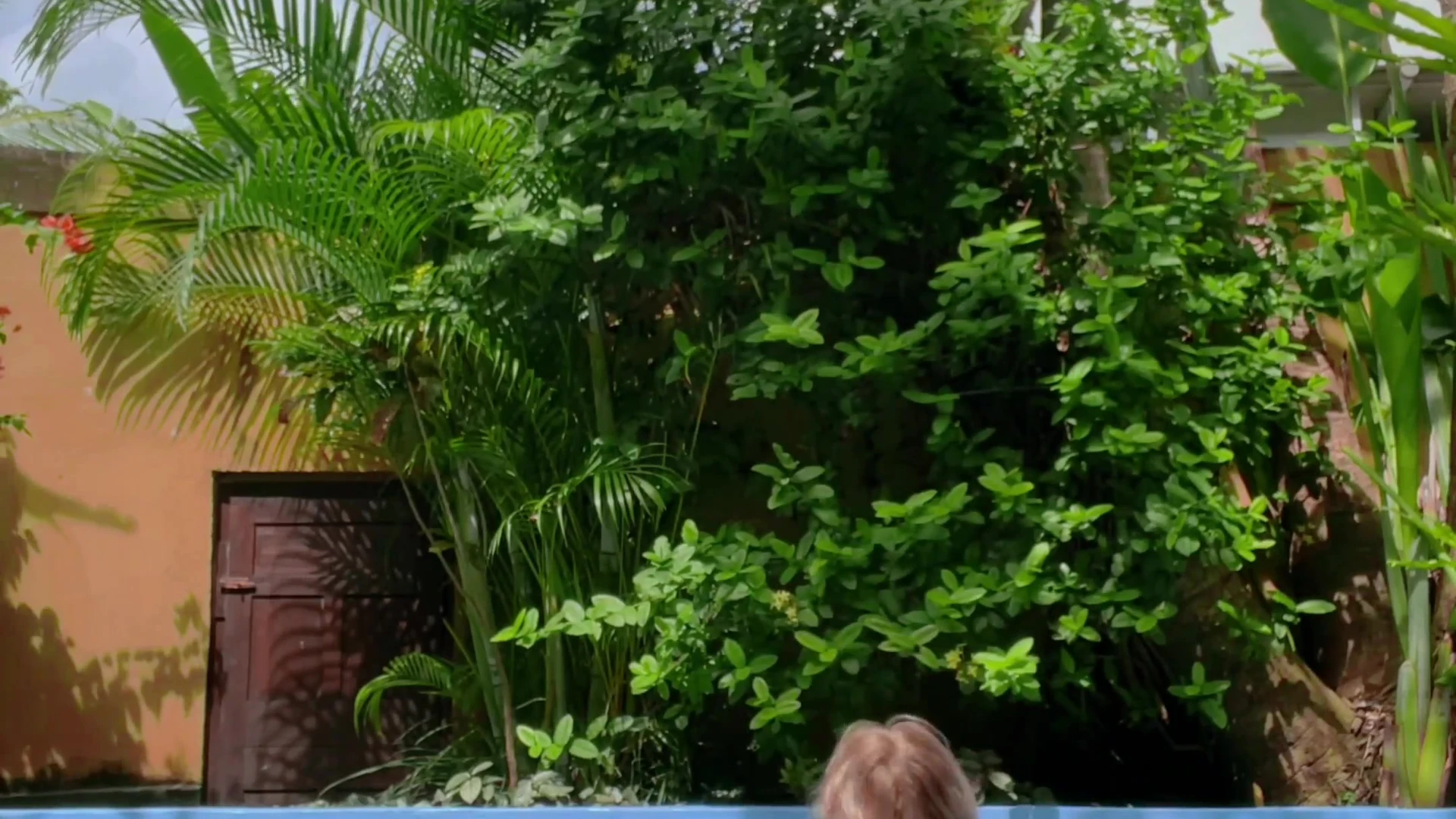 Hansel Grettel walking out of the pool naked tease