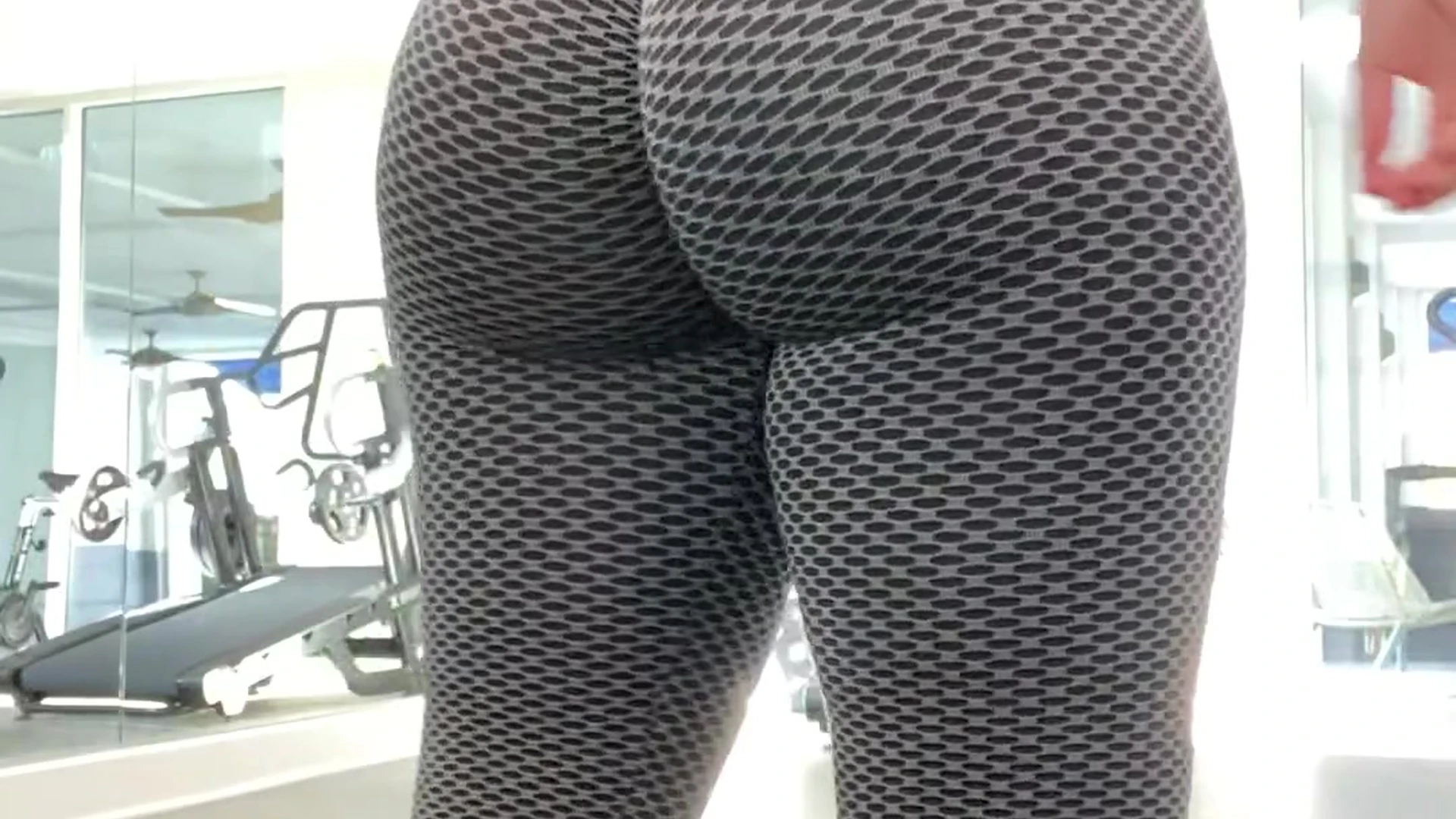 Haleigh Cox thick thighs and ass in the gym
